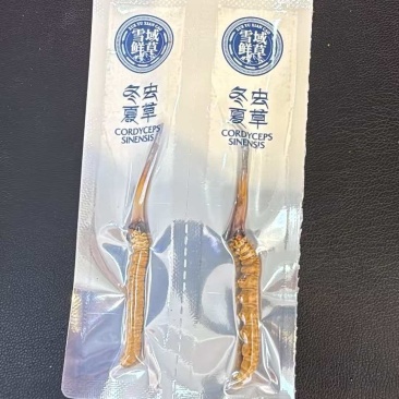 2026年西藏那新鲜虫草，货源充足。质量稳定