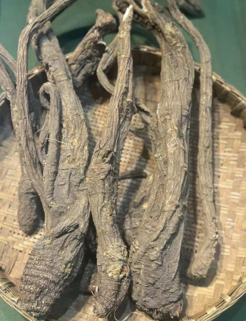 西藏本地产藏当归整株切片量大长期稳定供货