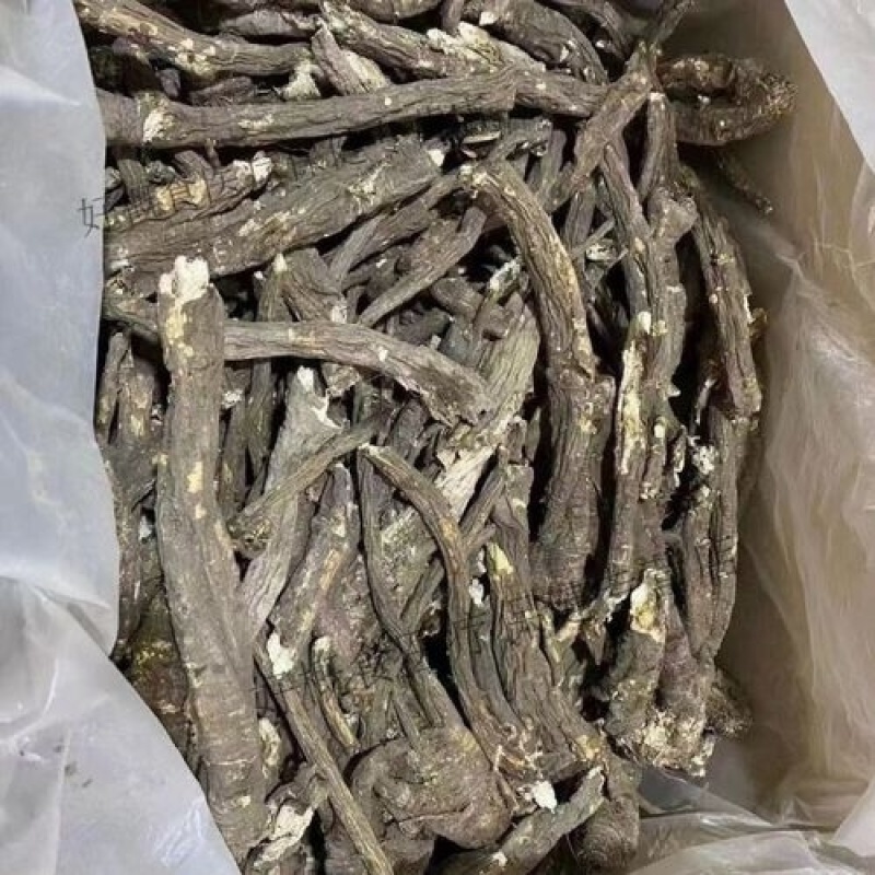 西藏本地产藏当归整株切片量大长期稳定供货