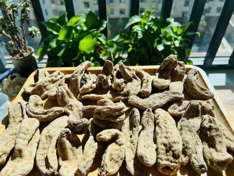 雪域高原孕育珍品藏天麻，高海拔生态好食材，营养醇厚地道滋