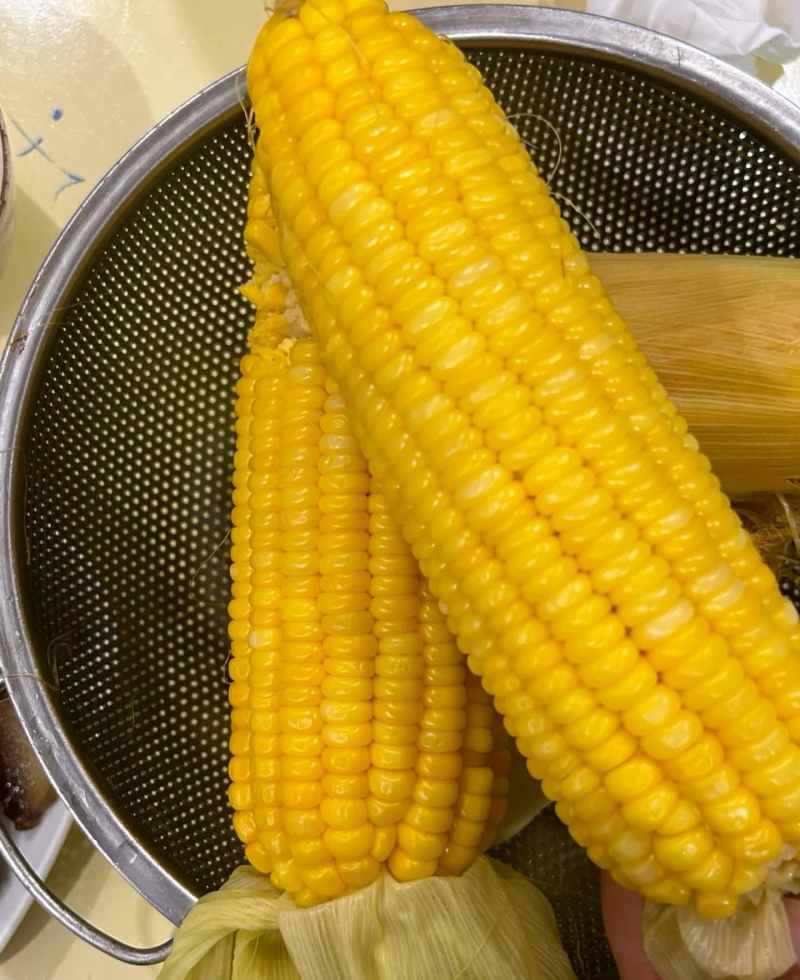 陕西新鲜水果玉米太阳花8号量大现摘