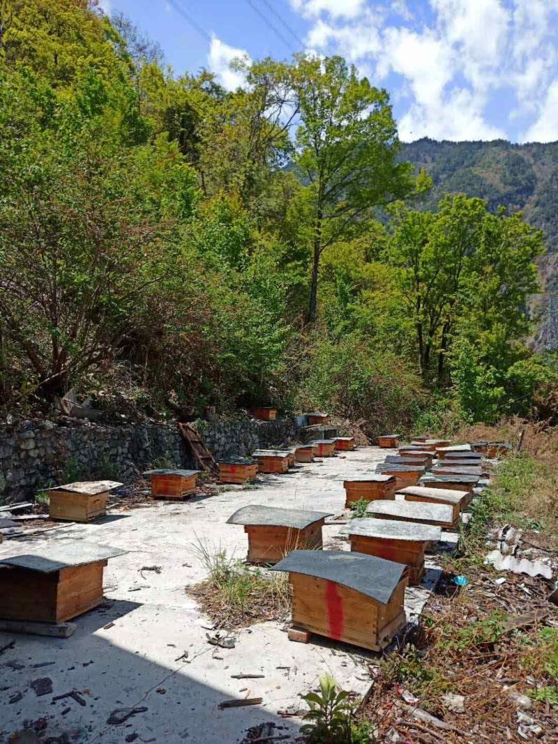 西岭雪山高原中华蜂土蜂蜜
