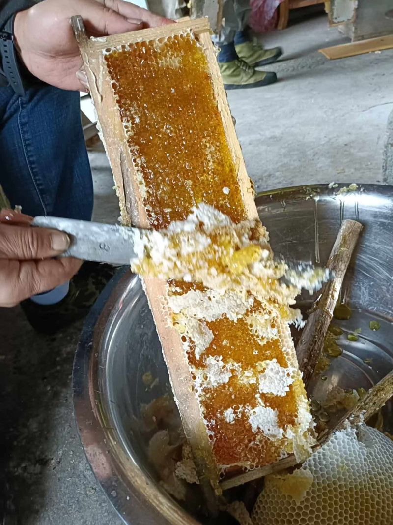 西岭雪山高原中华蜂土蜂蜜