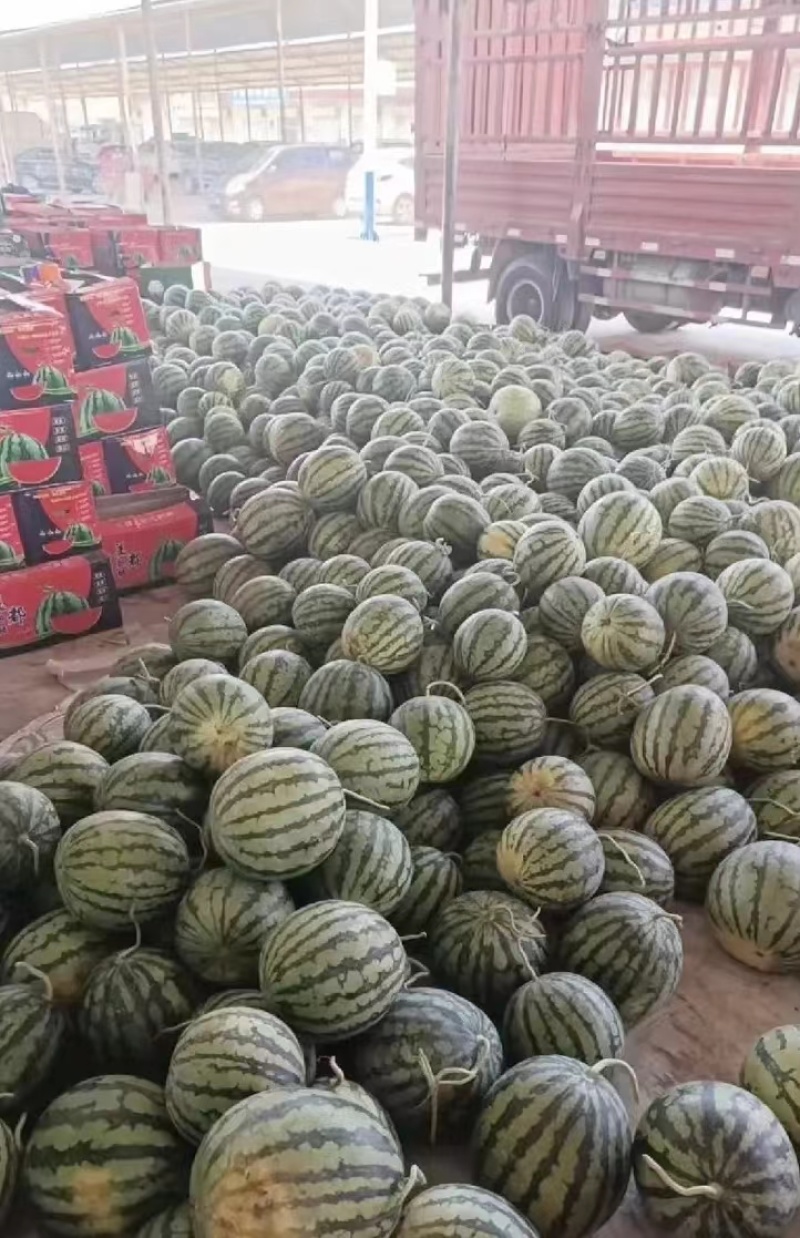 麒麟西瓜大量上市货源充足，价格优惠产地直发，欢迎采购