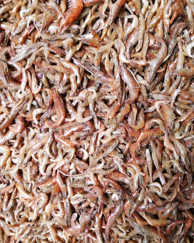 淡水河虾青虾晒干河虾3一4公分颜色一般