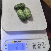 拇指西瓜