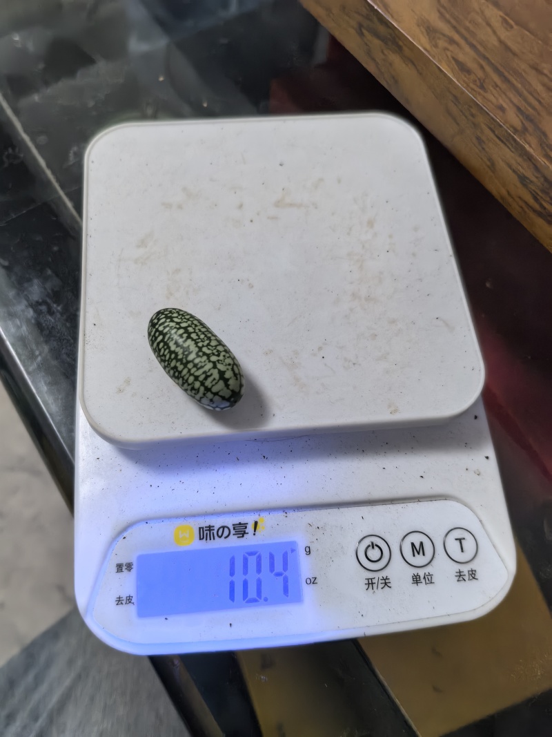 拇指西瓜