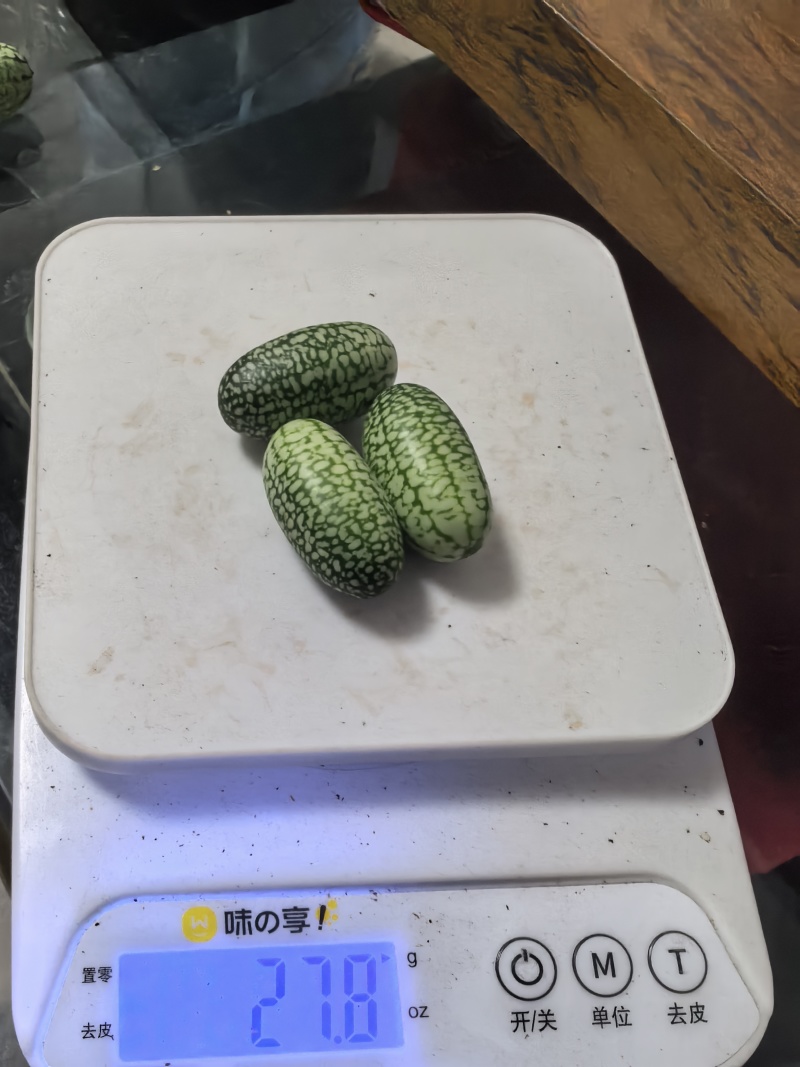 拇指西瓜