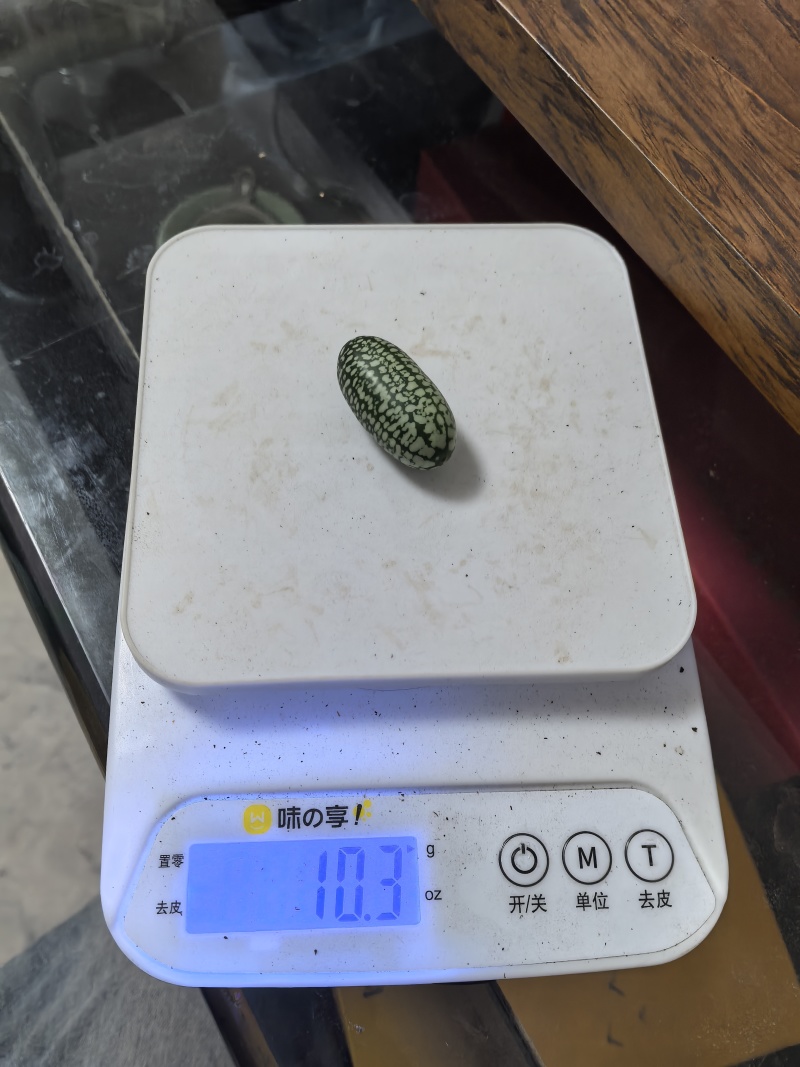 拇指西瓜