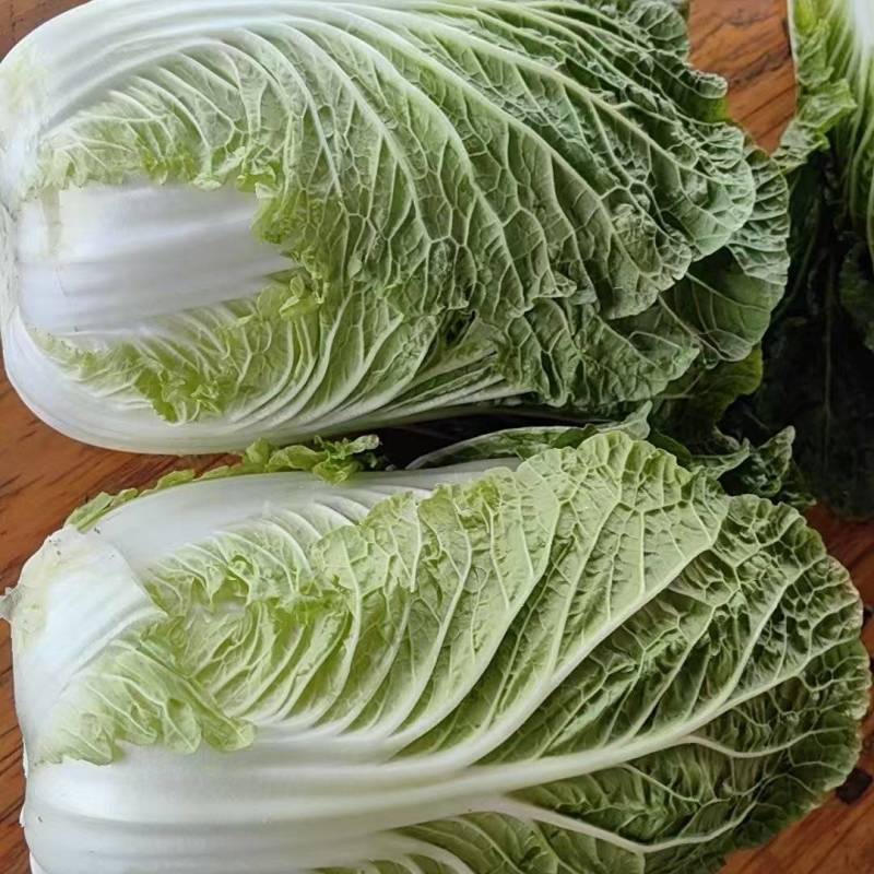 黄心大白菜
