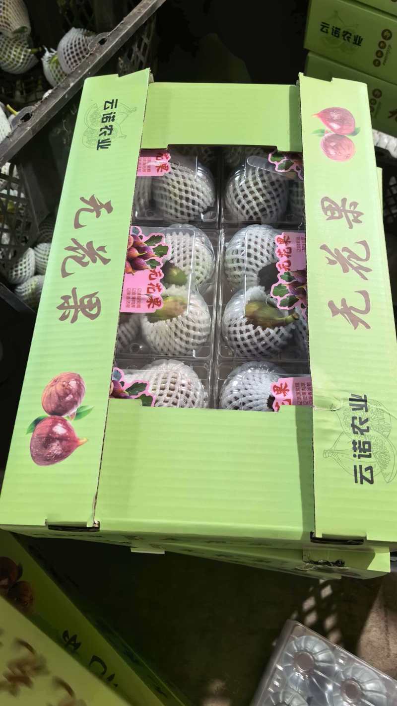 波姬红，空运直达，全年不断货可视频看货欢迎咨询来电