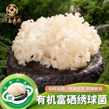 万菇**绣球菌.，来自千岛湖