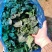 菠菜