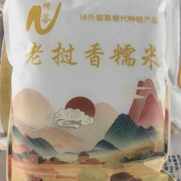 香糯米