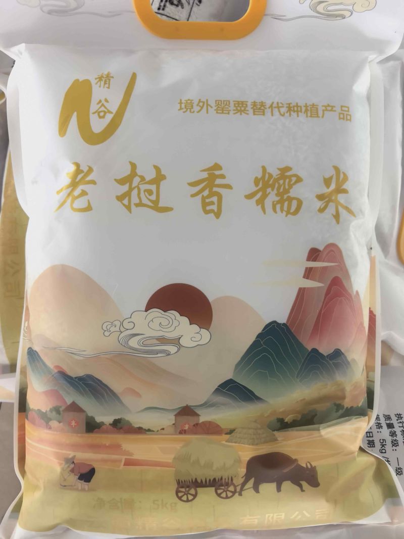 香糯米