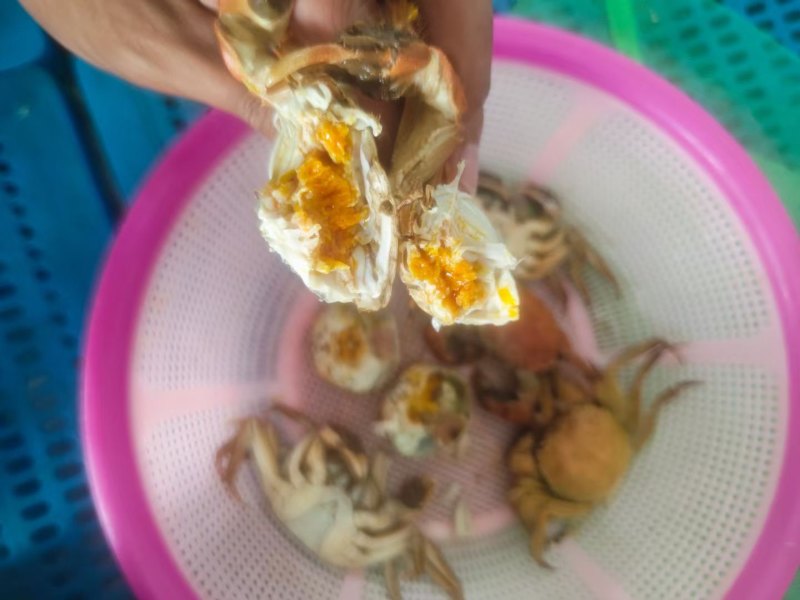 江苏大闸蟹