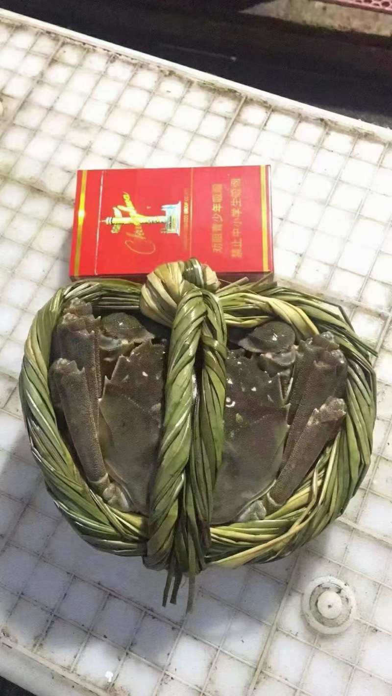 江苏大闸蟹
