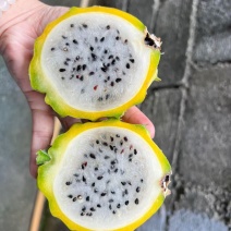 自家果园成熟啦😁帮家里人卖点