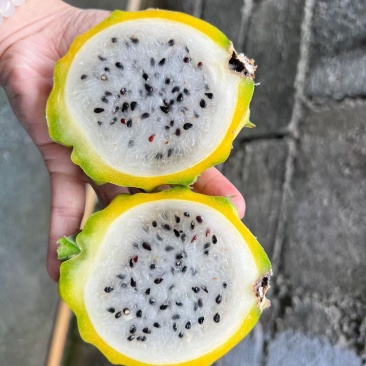 自家果园成熟啦😁帮家里人卖点