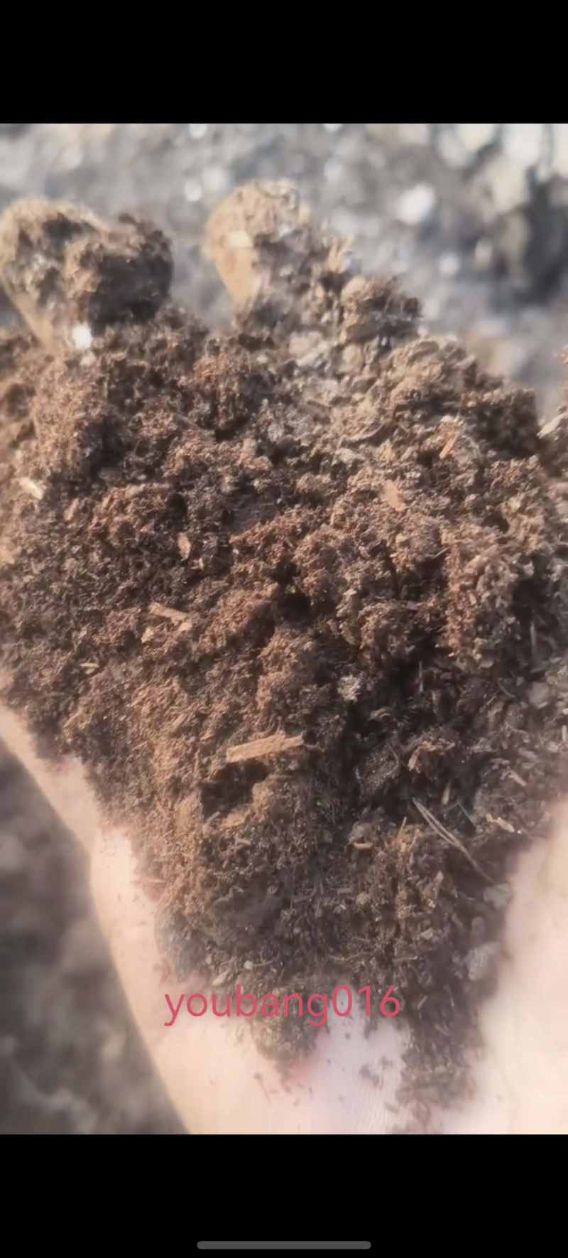山东发酵粪肥散装