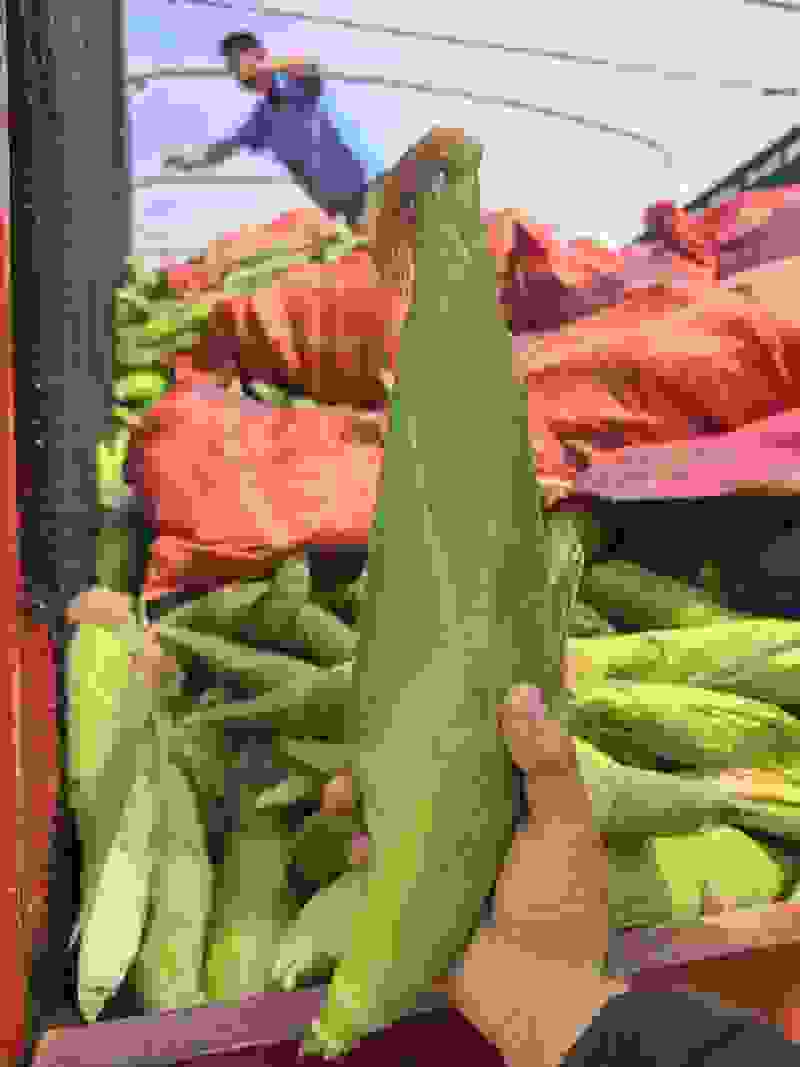 白糯