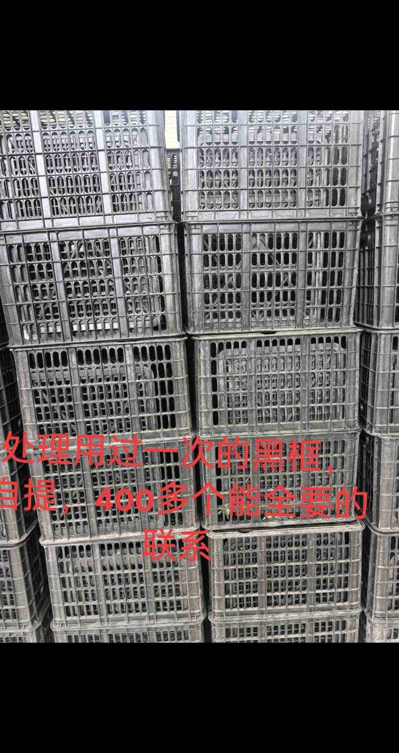 黑框55的