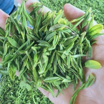 2026年新茶，露天头采