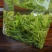 2026年新茶，露天头采