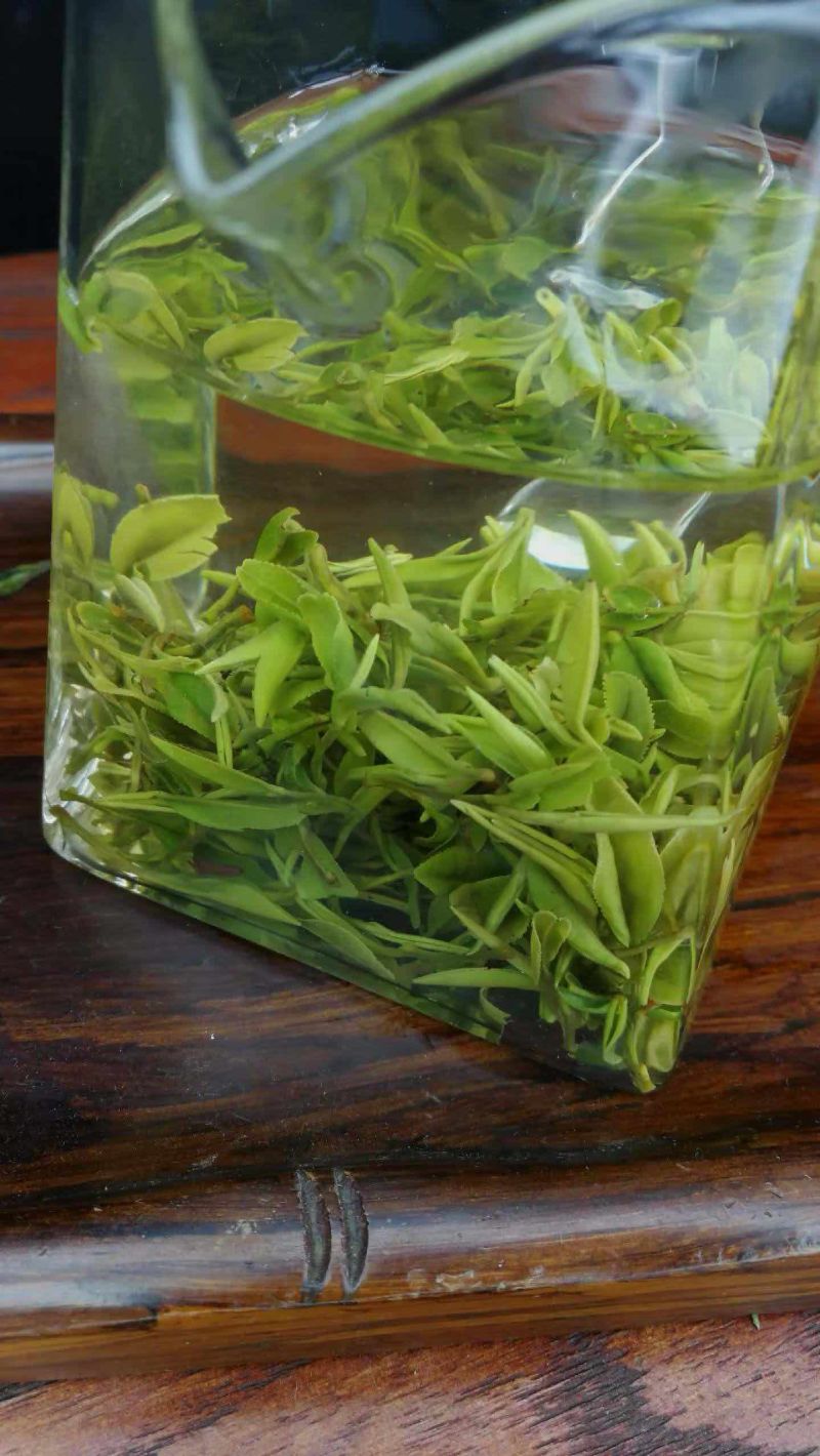 2026年新茶，露天头采