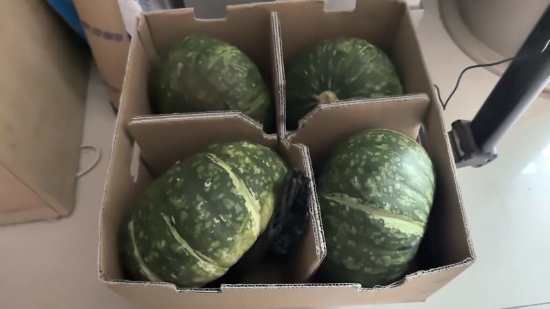 江苏精品板栗南瓜品种齐全新西兰黑金刚品质好发全国市场电商