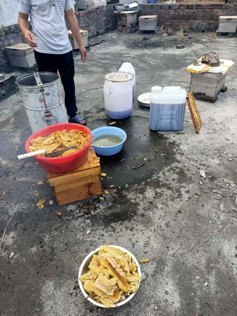 荔枝蜂蜜
