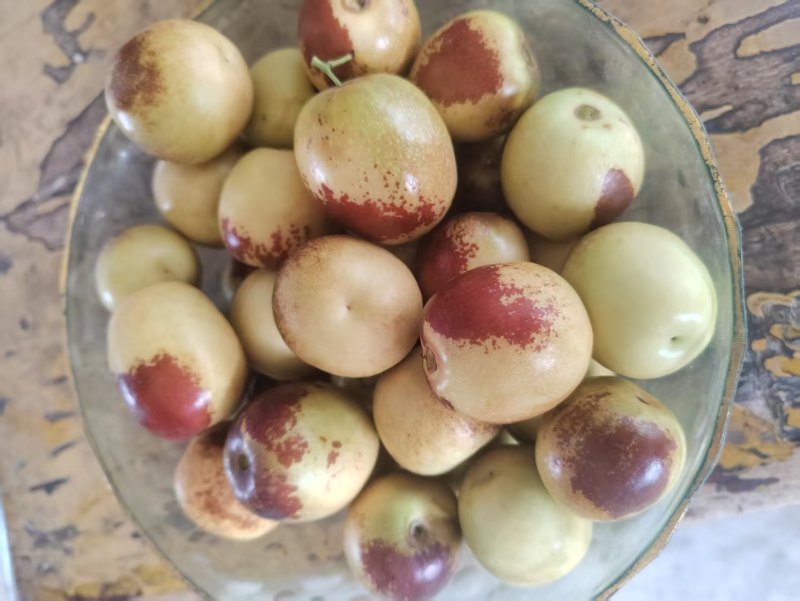 大荔冬枣