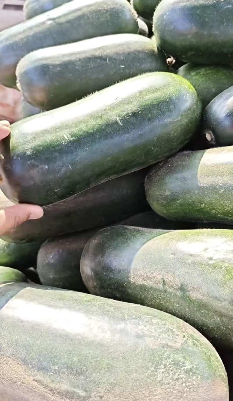 绿皮水果小吊，冬瓜。