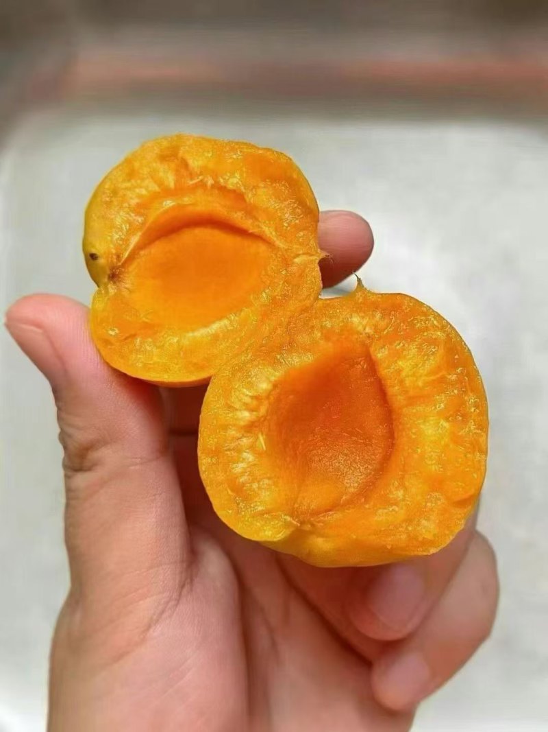 阿克苏小红杏（吊干杏）