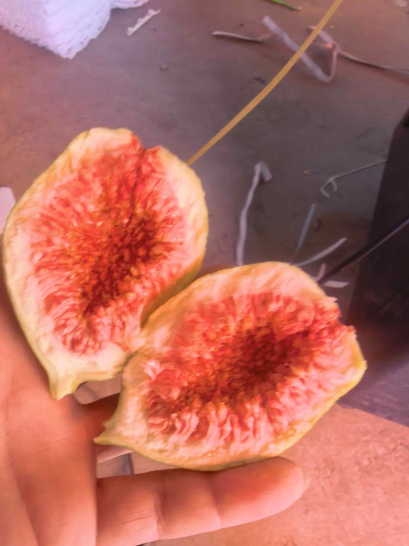 云南波姬红无花果空运直发
