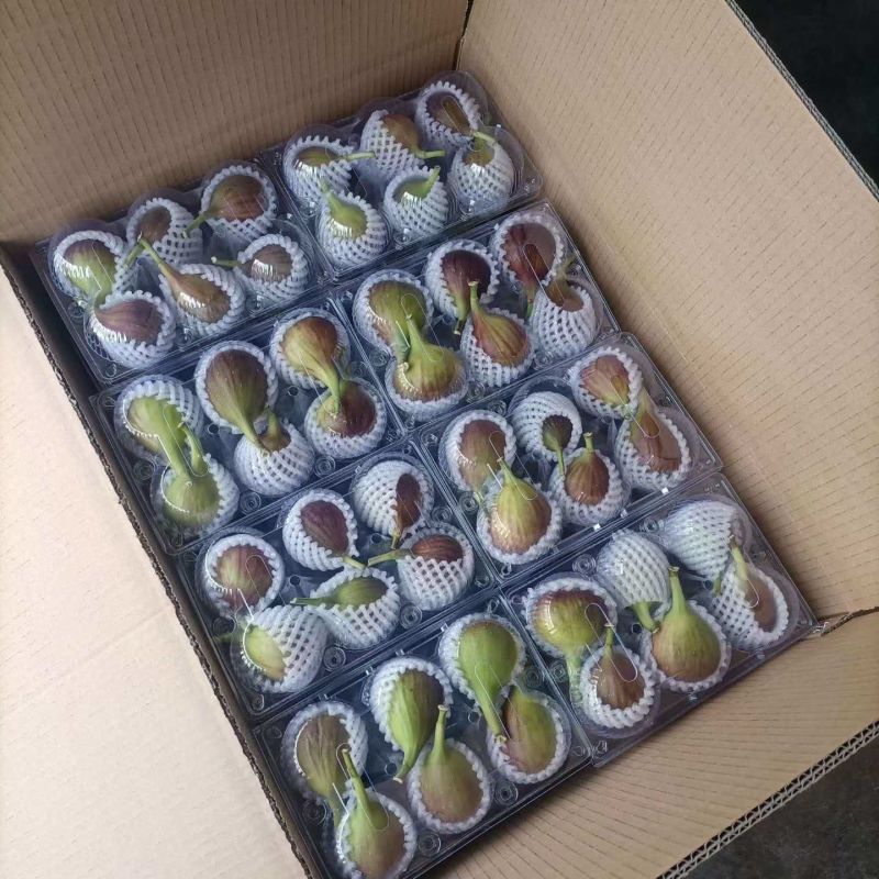 云南波姬红无花果空运直发