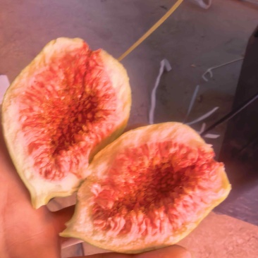 云南波姬红无花果空运直发
