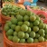 蜂糖李销售一件代发