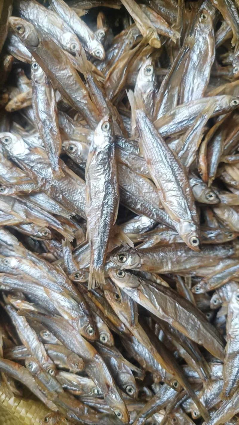 批发猫鱼干小白条′饲料鱼龟鳖饲料宠物饲料