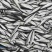 批发猫鱼干小白条′饲料鱼龟鳖饲料宠物饲料