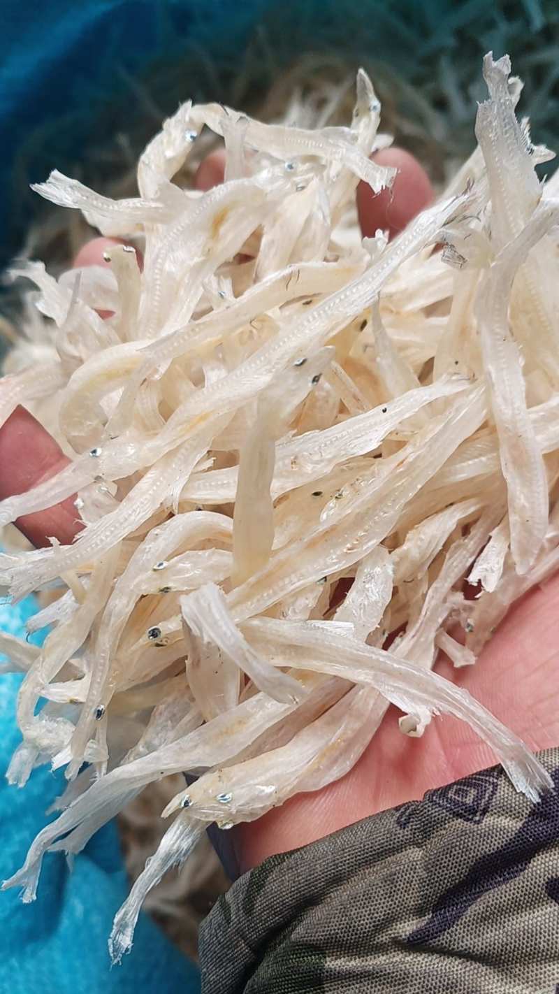 批发银鱼干一手货源产地自收自加工5一7公分
