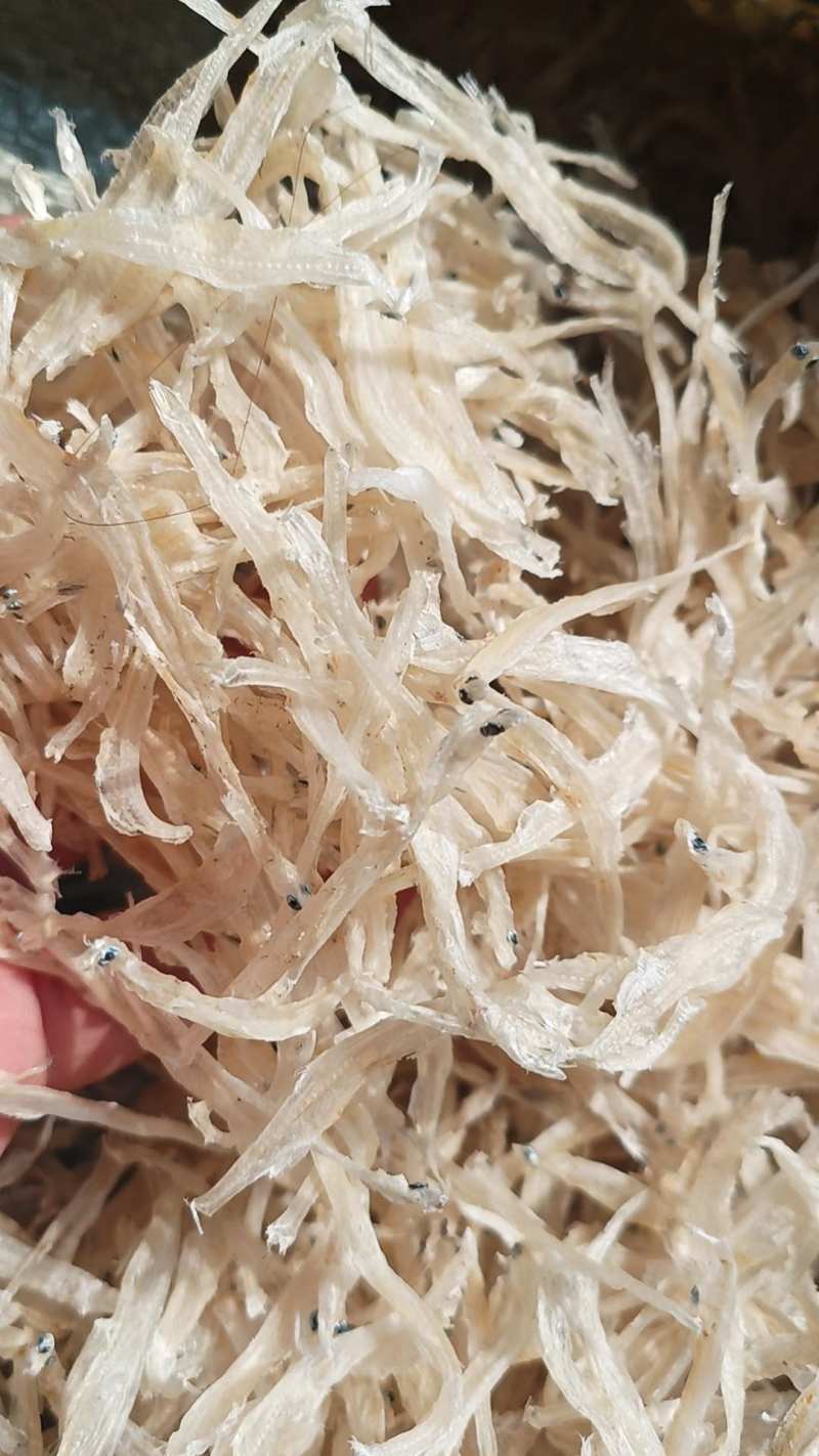 批发银鱼干一手货源产地自收自加工5一7公分