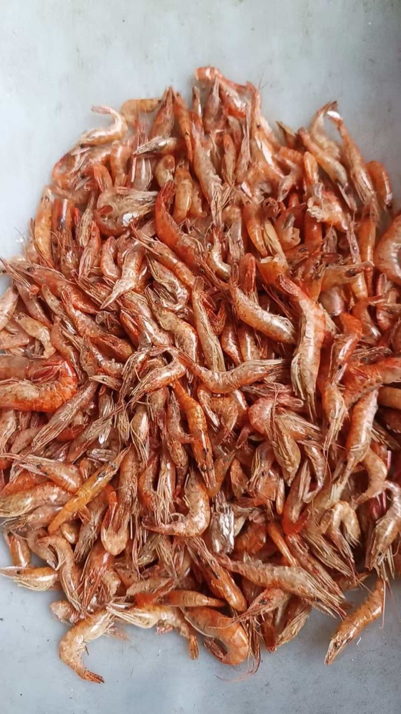 淡水河虾青虾晒干河虾3一4公分颜色一般