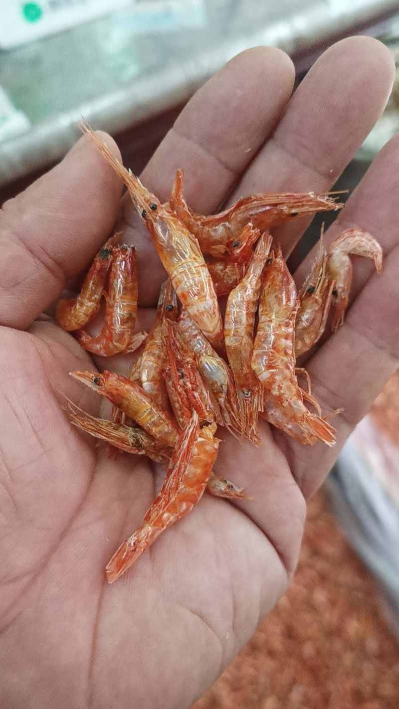 淡水河虾青虾晒干河虾3一4公分颜色一般