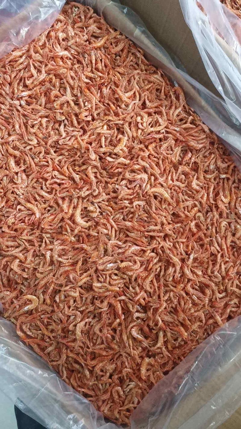 淡水河虾青虾晒干河虾3一4公分颜色一般