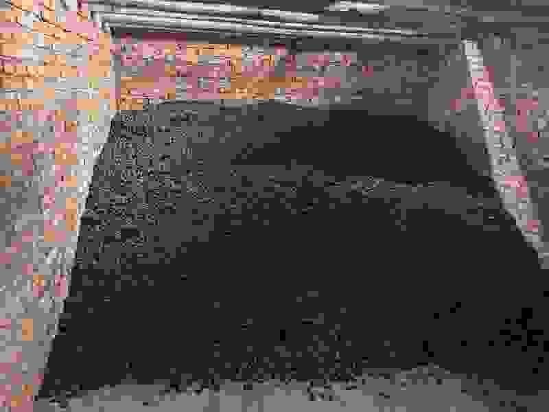 乌梅