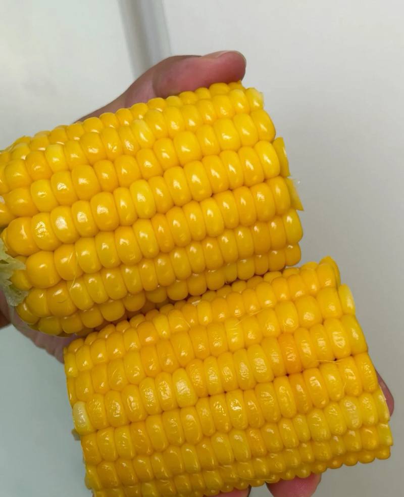 水果玉米现摘现发量大