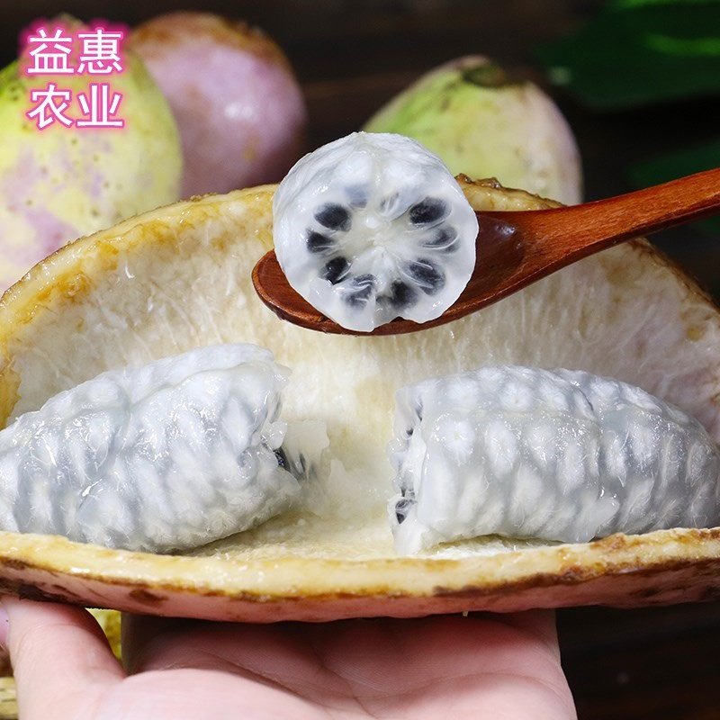 现摘新鲜八月炸，深山原生态八月瓜，果肉软糯爆汁，时令稀罕