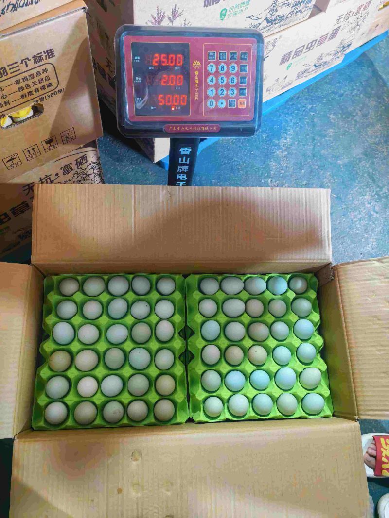 精品绿壳蛋