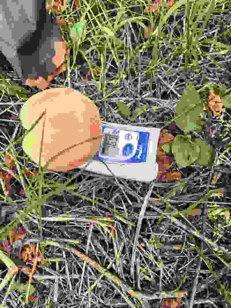 水蜜桃精品果晚福景，基地直销